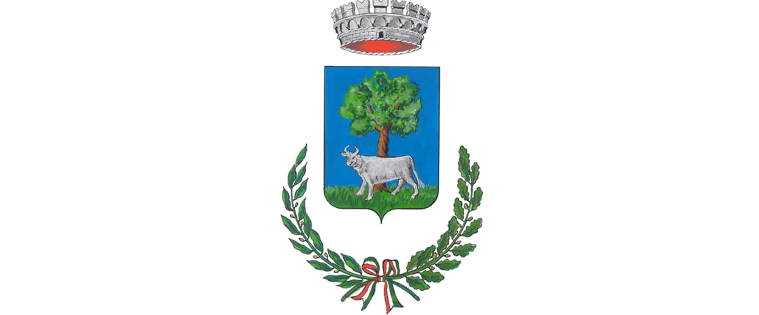 Freshdesign